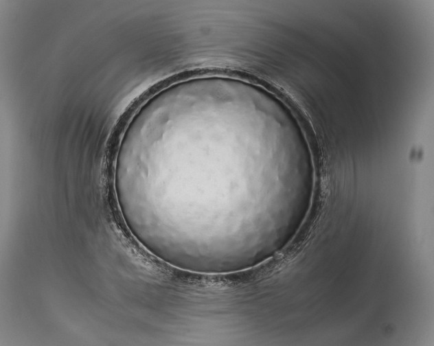 X0000115300975200911161653