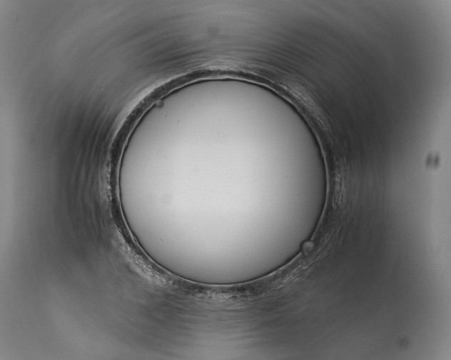 X0000115300976200911161653