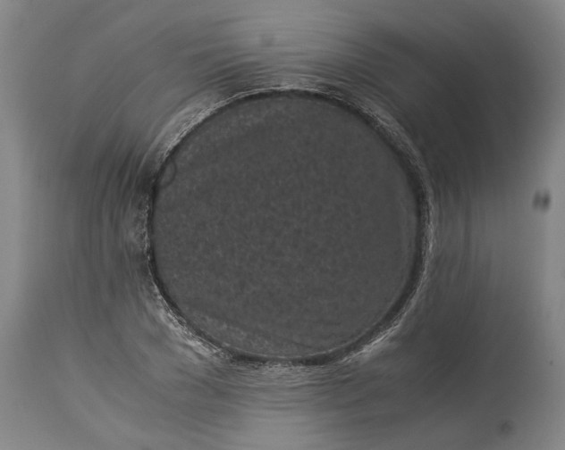 X0000115300977200911161653