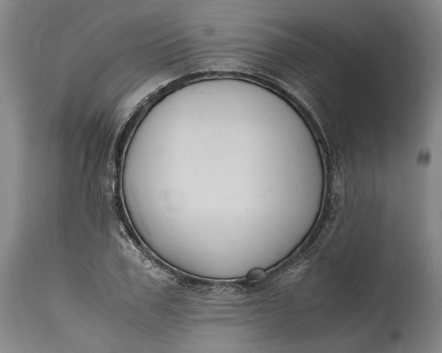 X0000115300979200911161653