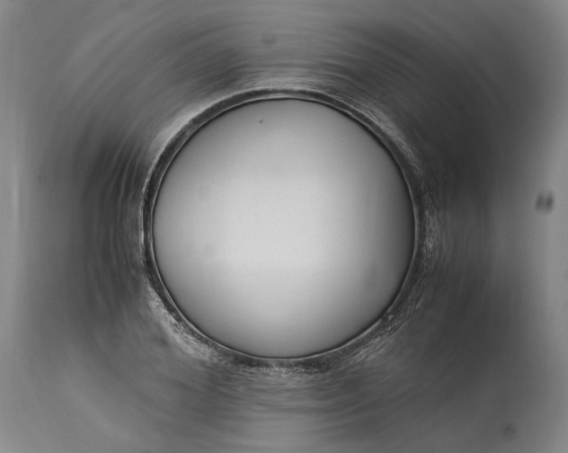 X0000115300980200911161653