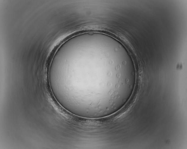 X0000115300981200911161653