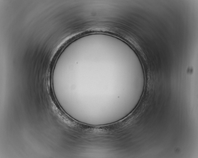 X0000115300984200911161653