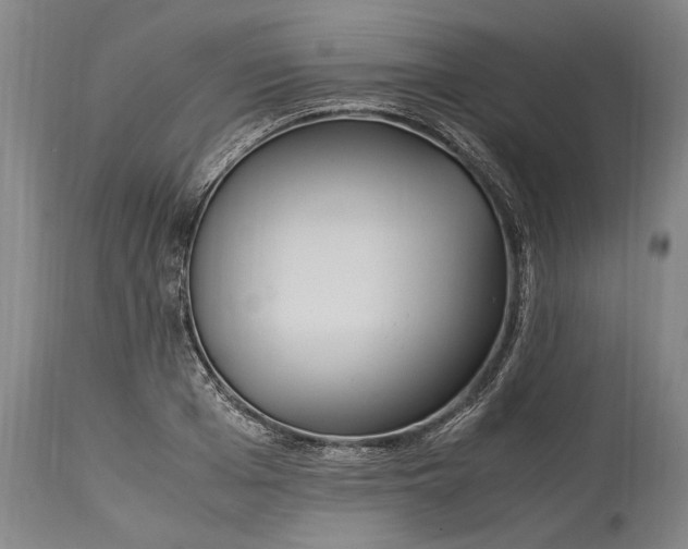 X0000115300985200911161653