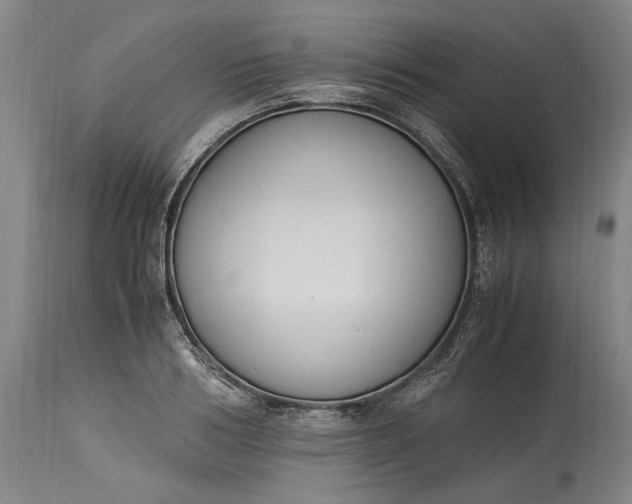 X0000115300986200911161653