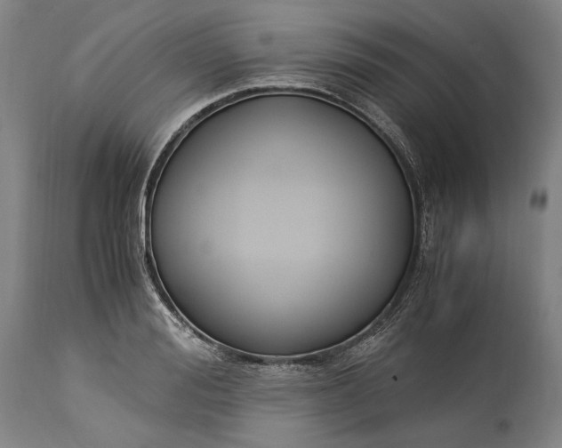 X0000115300988200911161653