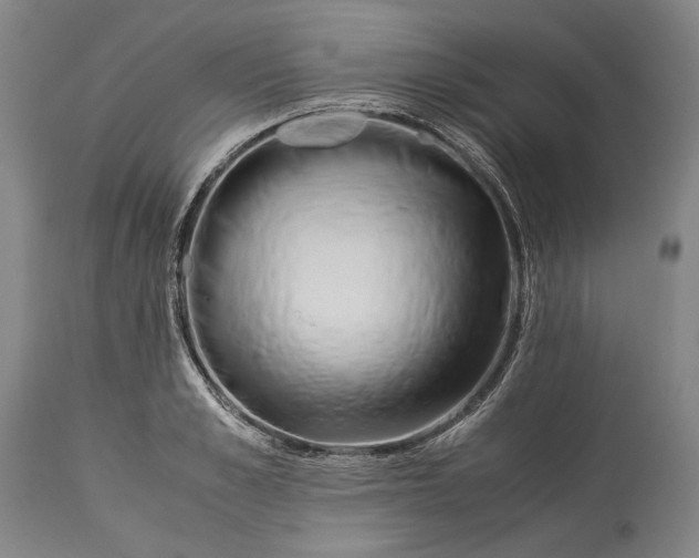 X0000115300989200911161653