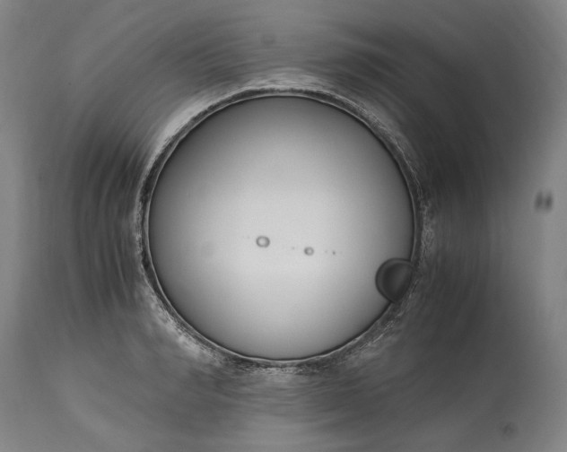 X0000115300990200911161653