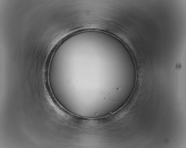 X0000115300991200911161653