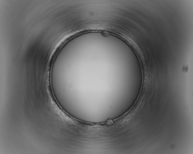 X0000115300992200911161653