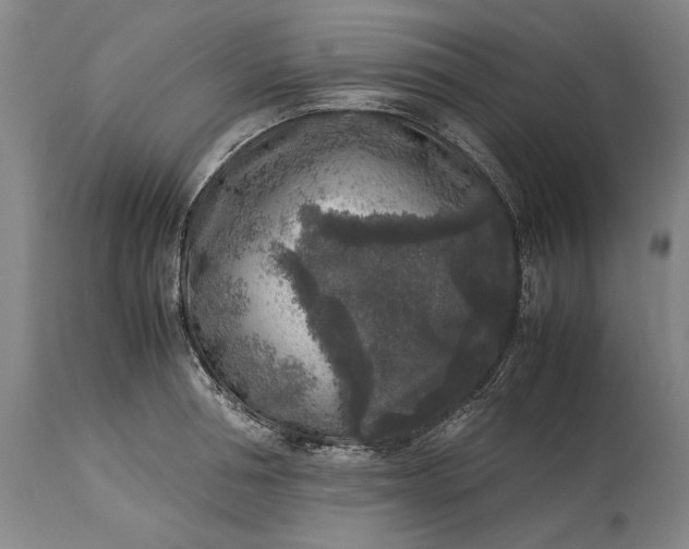 X0000115300994200911161653