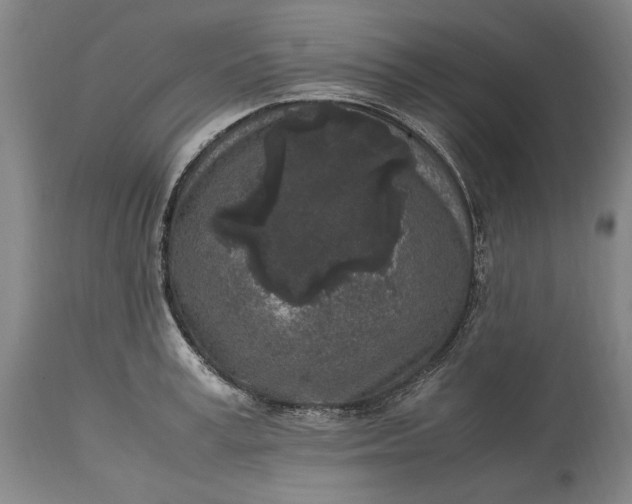 X0000115300995200911161653