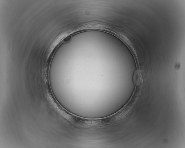 X0000115300997200911161653