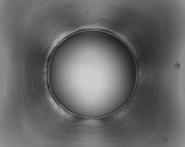 X0000115300998200911161653