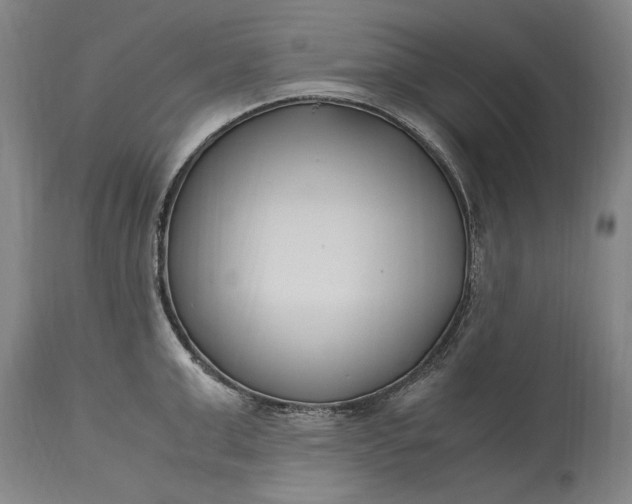 X0000115300999200911161653