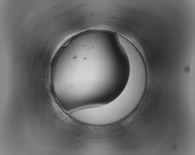 X0000115301000200911161653