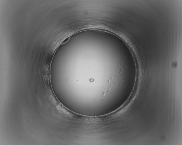 X0000115301001200911161653