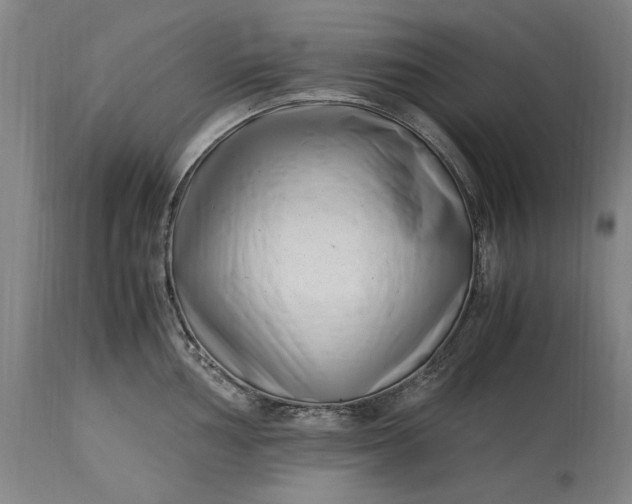 X0000115301002200911161653