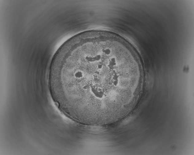 X0000115301007200911161653