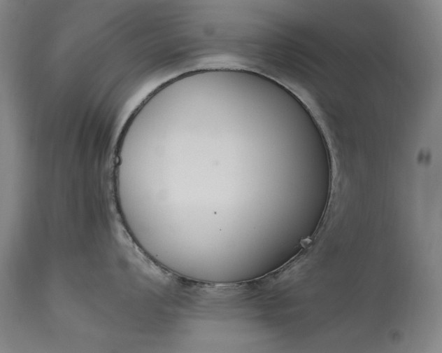 X0000115301008200911161653