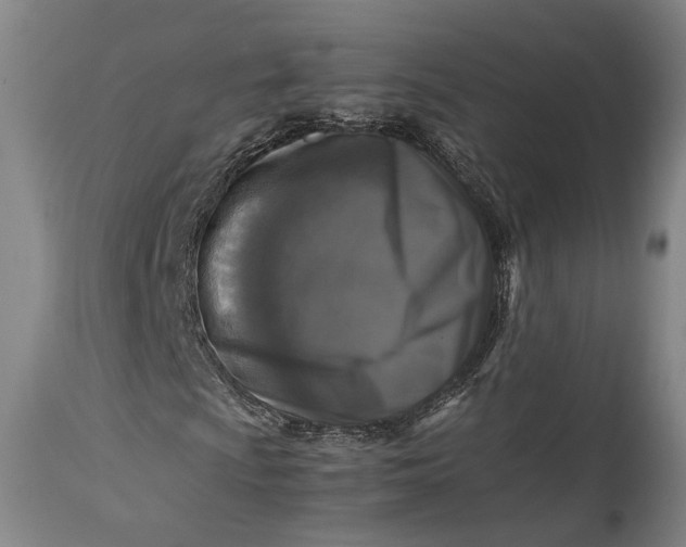 X0000115301009200911161652