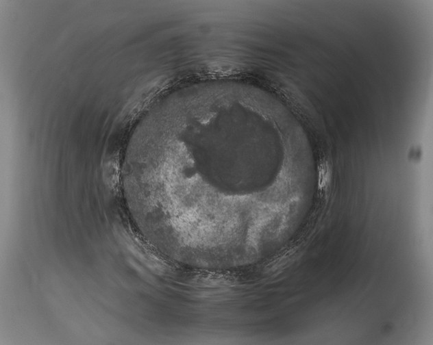 X0000115301011200911161652