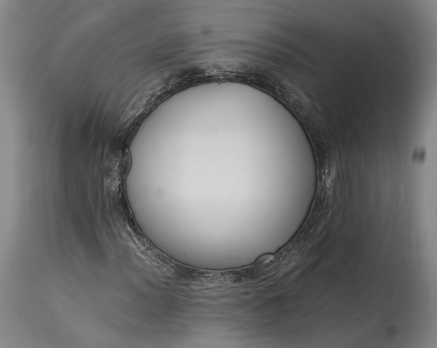 X0000115301012200911161652