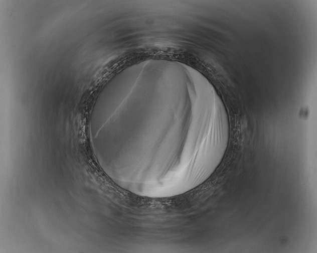 X0000115301013200911161652