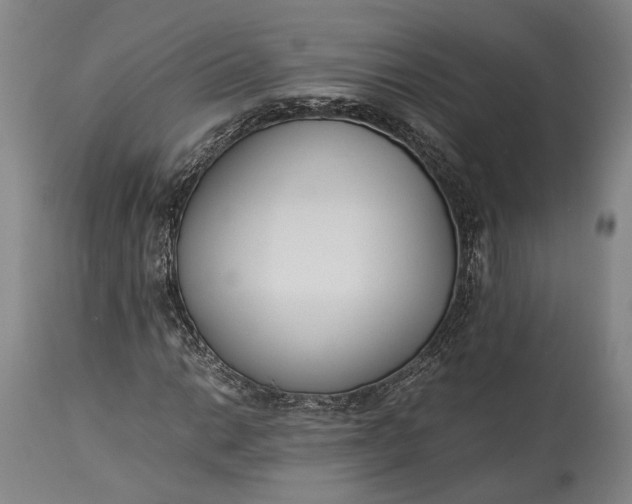 X0000115301014200911161652