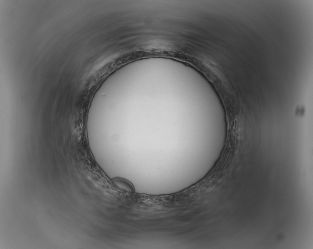 X0000115301015200911161652