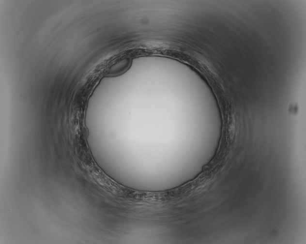 X0000115301016200911161652