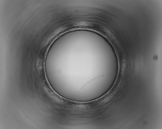 X0000115301017200911161652