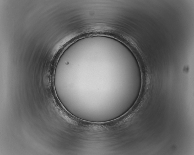 X0000115301018200911161652