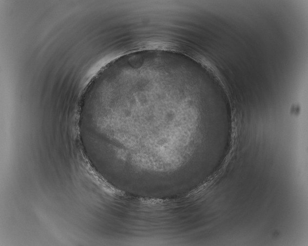 X0000115301019200911161652