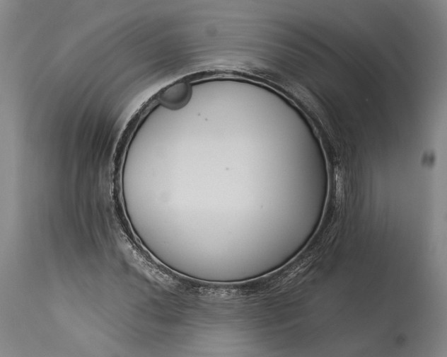 X0000115301020200911161652