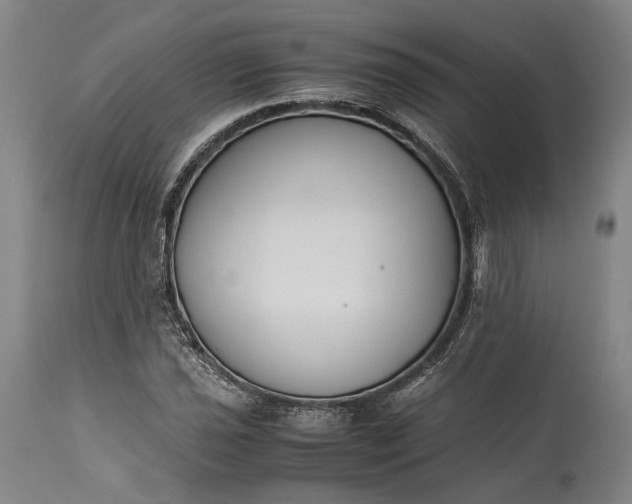 X0000115301021200911161652