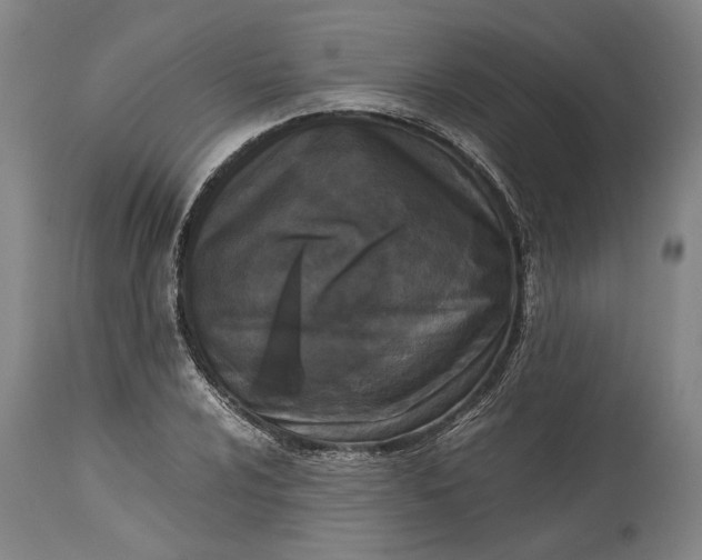 X0000115301024200911161652