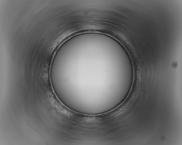 X0000115301025200911161652