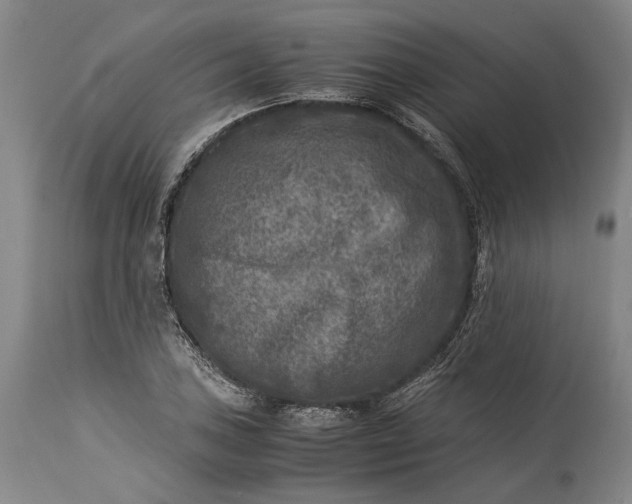 X0000115301027200911161652