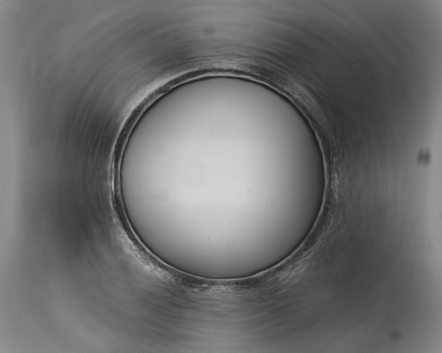 X0000115301028200911161652