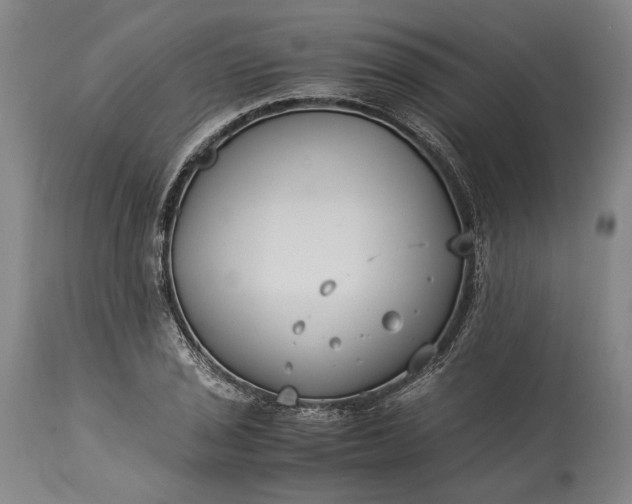 X0000115301029200911161652