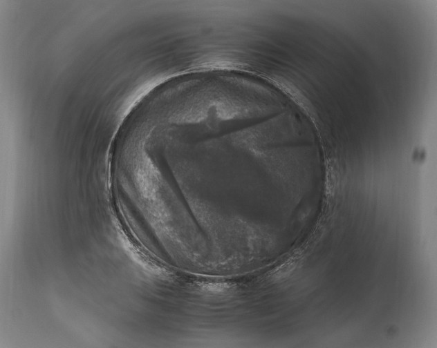 X0000115301031200911161652