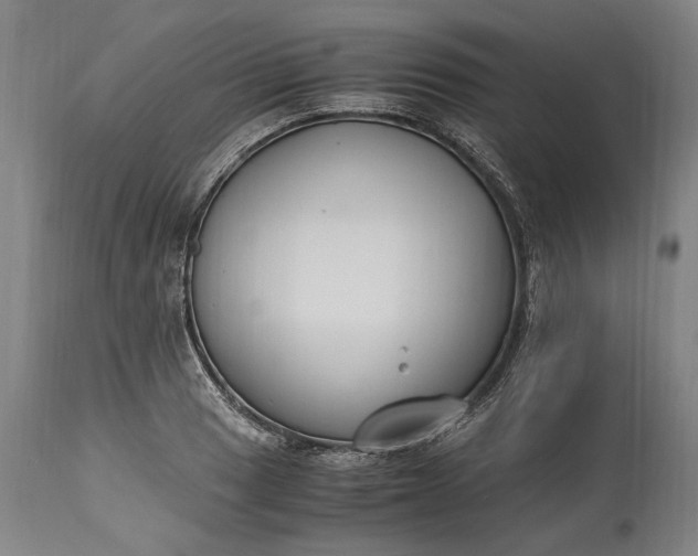 X0000115301033200911161652