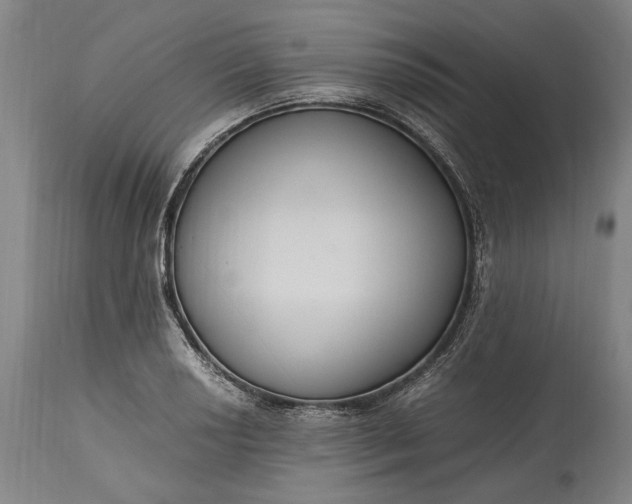 X0000115301034200911161653