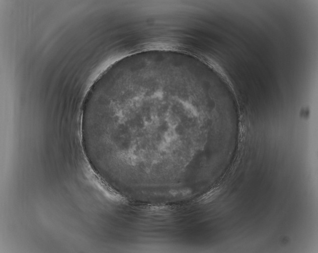 X0000115301035200911161653