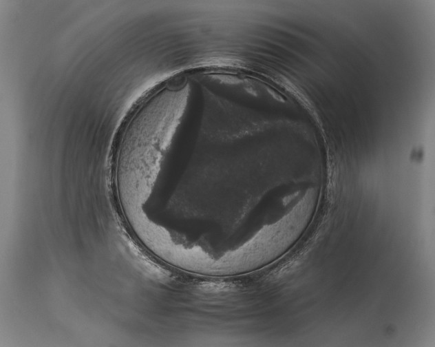 X0000115301037200911161653