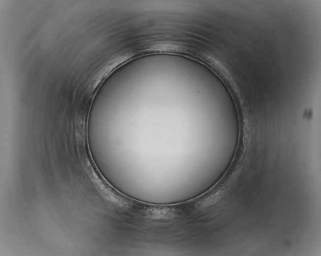 X0000115301041200911161653