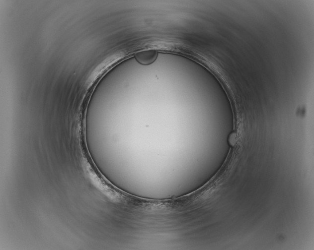 X0000115301042200911161653