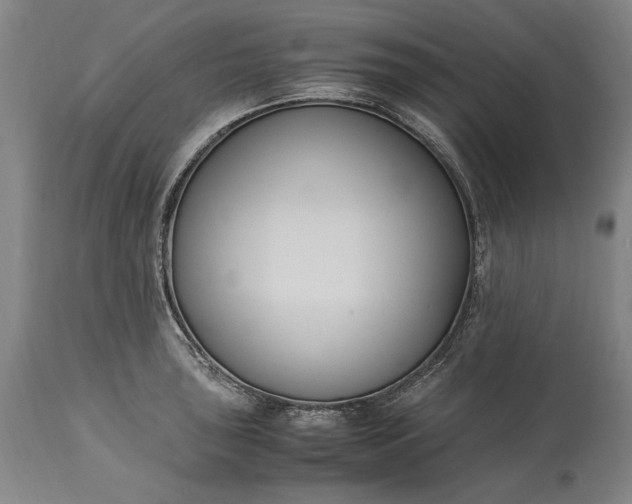 X0000115301043200911161653