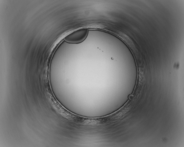 X0000115301044200911161653